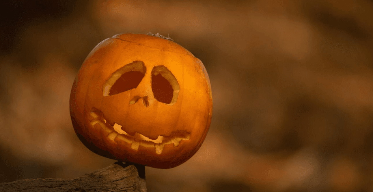 Halloween Trail, at RSPB Frampton