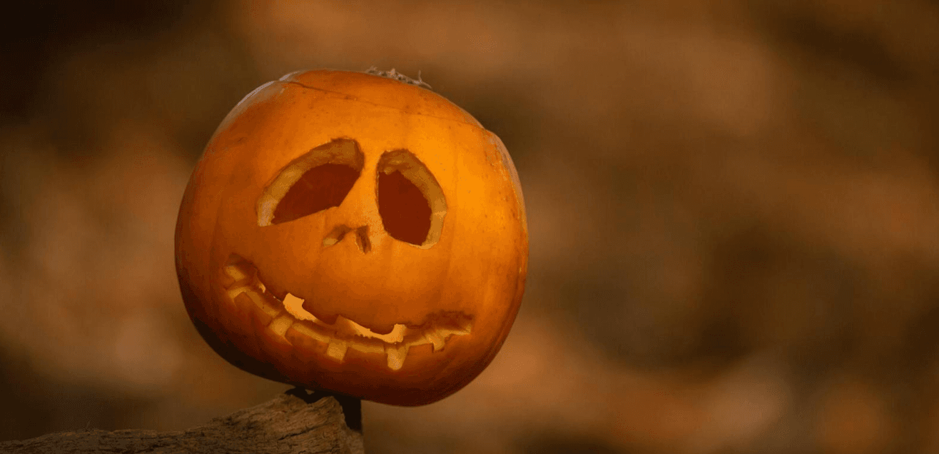 Halloween Trail, at RSPB Frampton