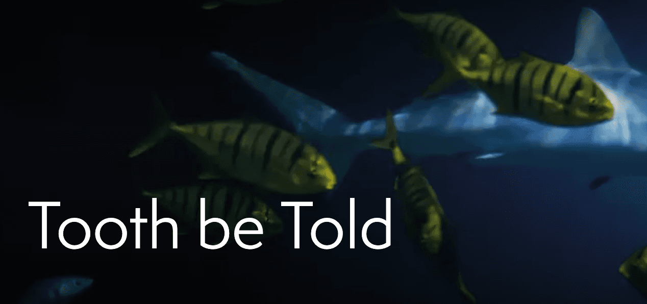 Tooth be Told