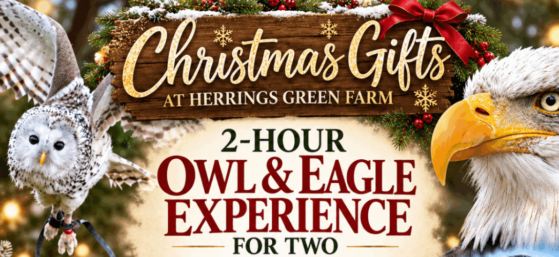 2 Hour Owl & Eagle Experience for Two