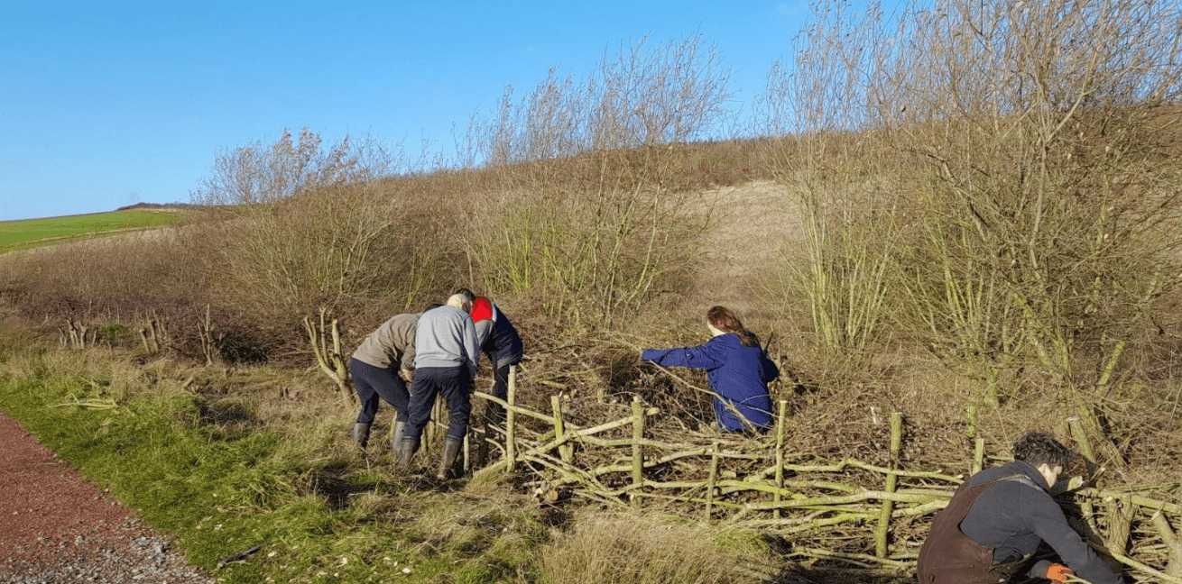 Community Midweek Muck-in – RSPB St Aidan’s