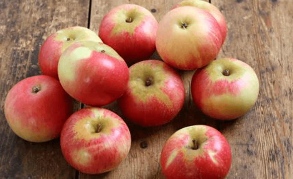 Apple Day at Ellon Castle Gardens