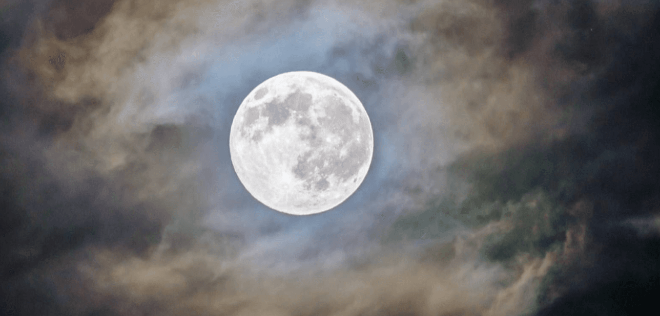 Astronomy Night at RSPB Frampton