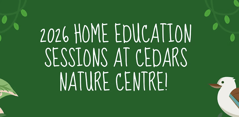 Rangers Home Education Group (Secondary Age) at Cedars Nature Centre