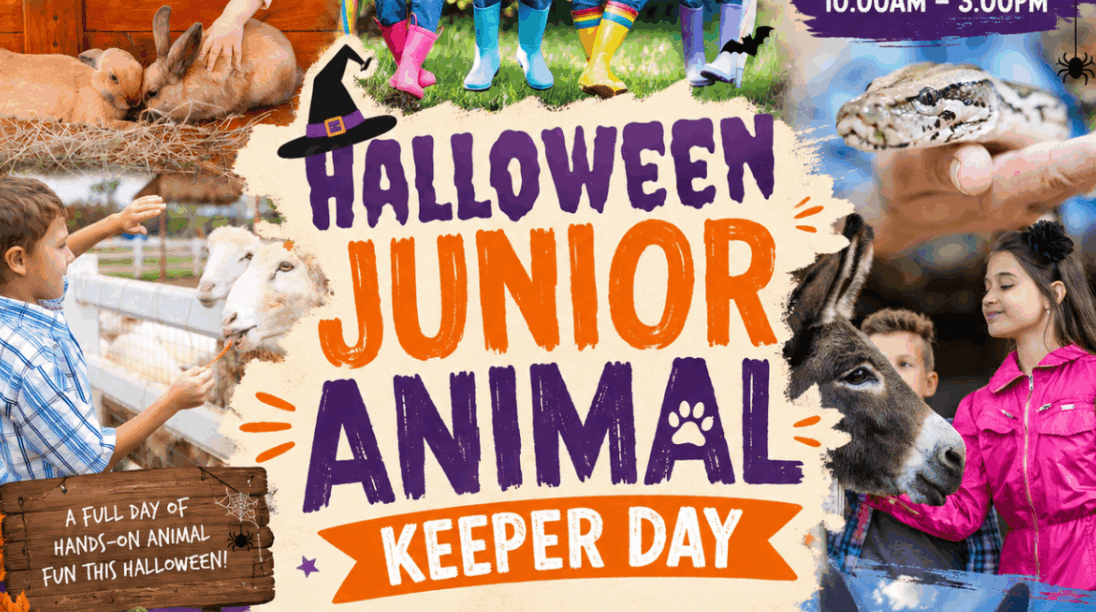 Halloween Junior Animal Keeper Day