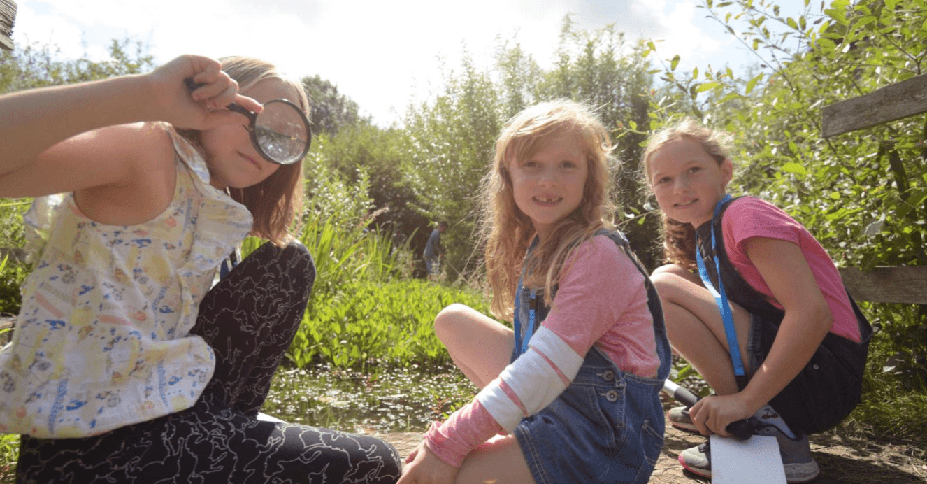 RSPB Ynys-hir Wildlife Explorers Club