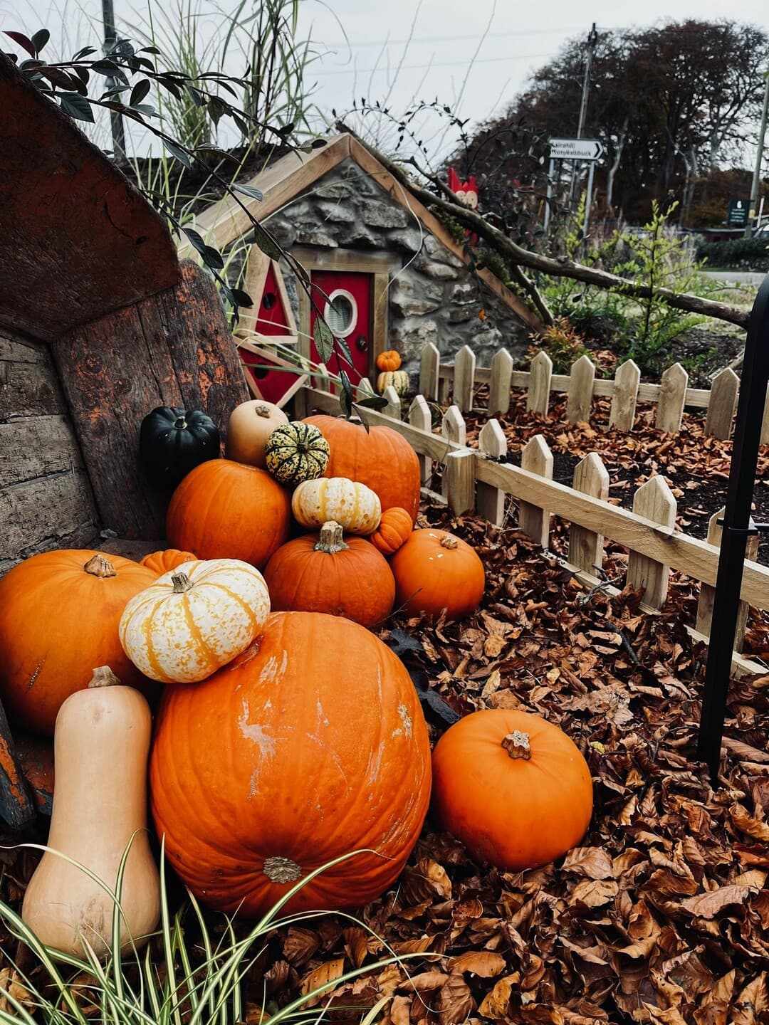 Halloween Trail of Treats at The Gonks of Gardenshillock