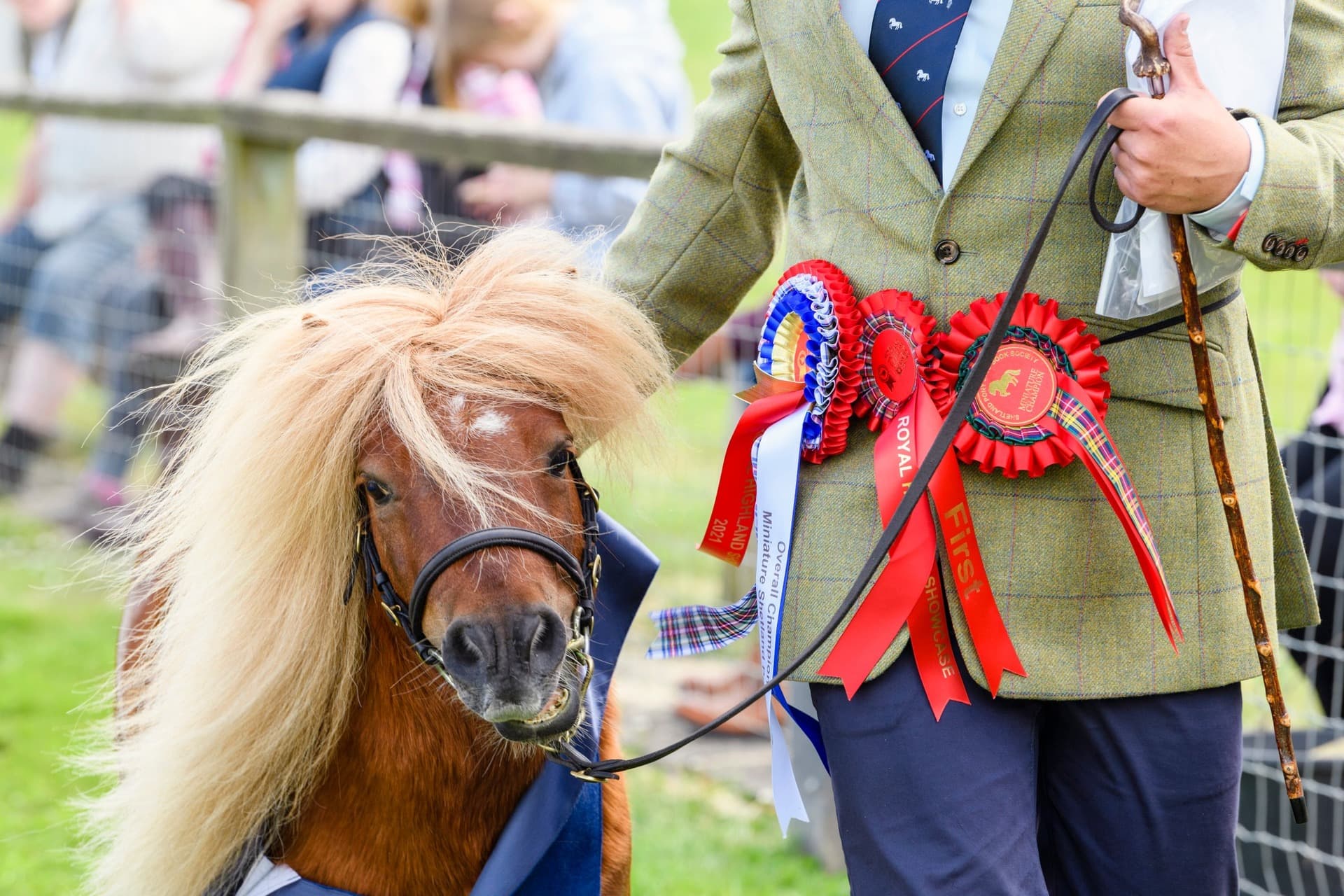 The Royal Highland Show