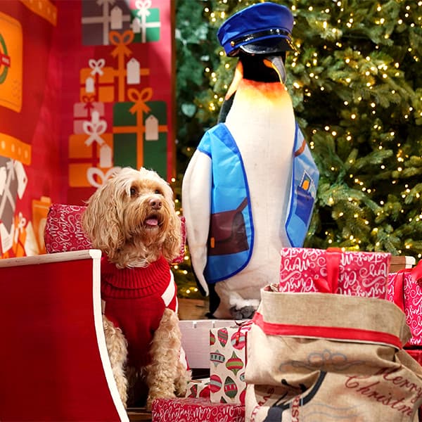 Santa Paws 2026