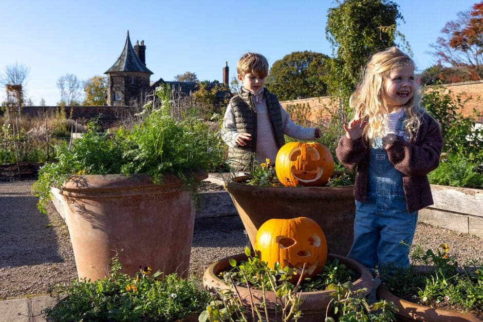 Cad Rhs Spooky plants trail at RHS Bridgewater at RHS…, Worsley
